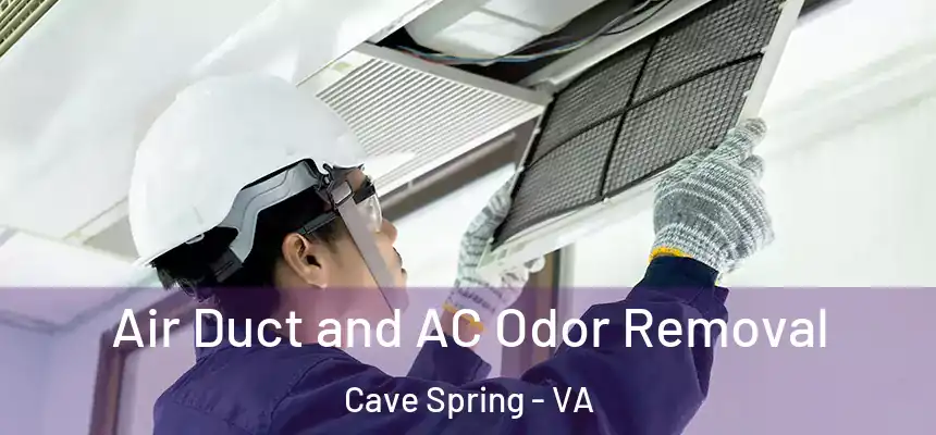  Air Duct and AC Odor Removal Cave Spring - VA