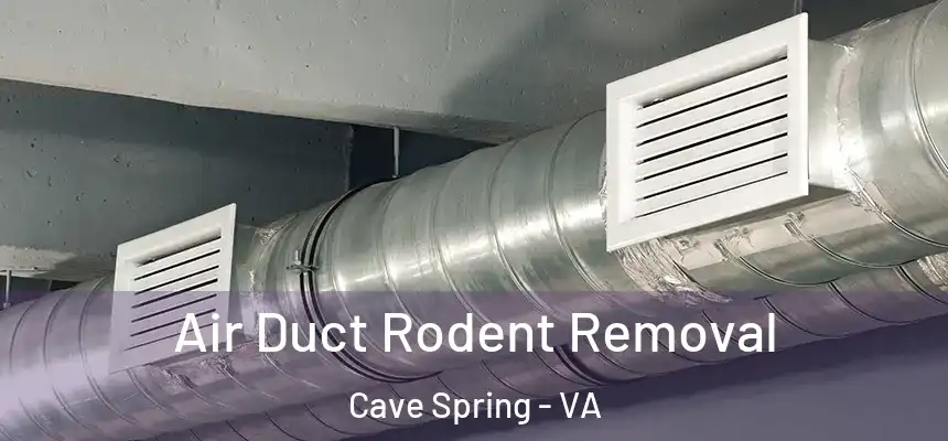  Air Duct Rodent Removal Cave Spring - VA