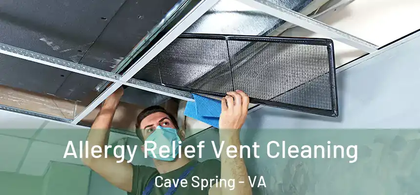  Allergy Relief Vent Cleaning Cave Spring - VA