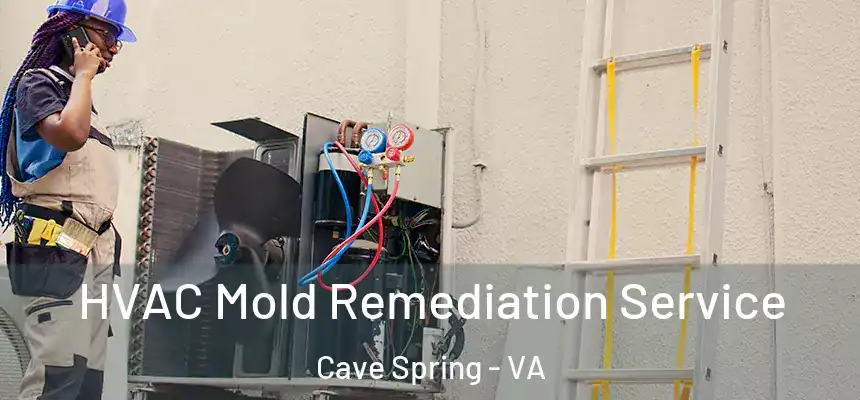  HVAC Mold Remediation Service Cave Spring - VA