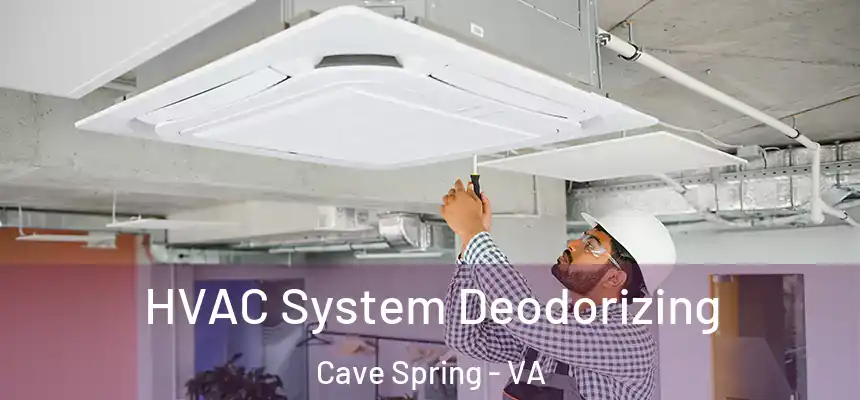 HVAC System Deodorizing Cave Spring - VA