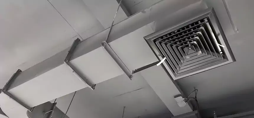 Restorative Allergy Relief Vent Cleaning – Coil, Blower & Housing Detail in Cave Spring