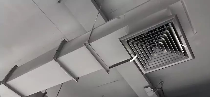 Our Rodent Droppings In Vents Services in Cave Spring, VA