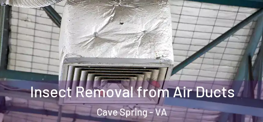 Insect Removal from Air Ducts Cave Spring - VA