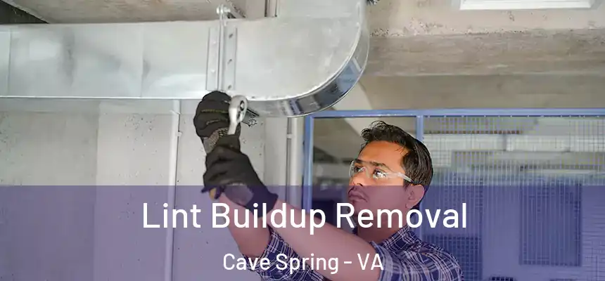  Lint Buildup Removal Cave Spring - VA