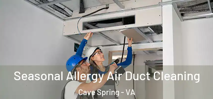  Seasonal Allergy Air Duct Cleaning Cave Spring - VA