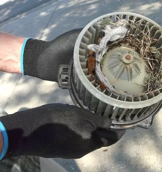 About Air Duct Mice Removal in Cave Spring, VA