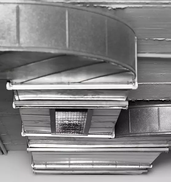 Professional Air Duct Pest Removal in Cave Spring, VA