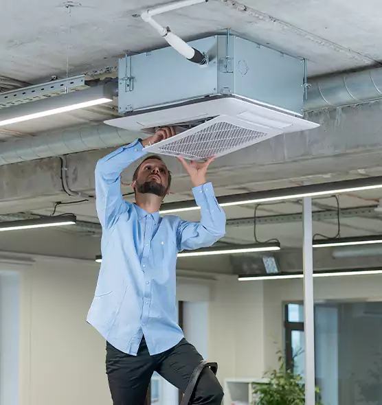 Advanced Rodent Droppings In Vents in Cave Spring, VA