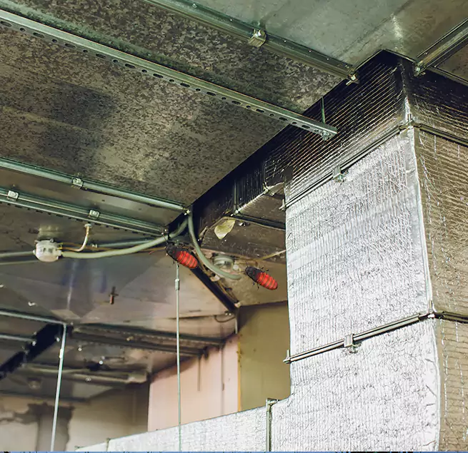 Why Homeowners & Businesses Trust Us in Cave Spring, VA?