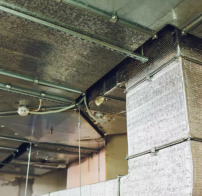 Why Homeowners & Businesses Trust Us in Cave Spring, VA?